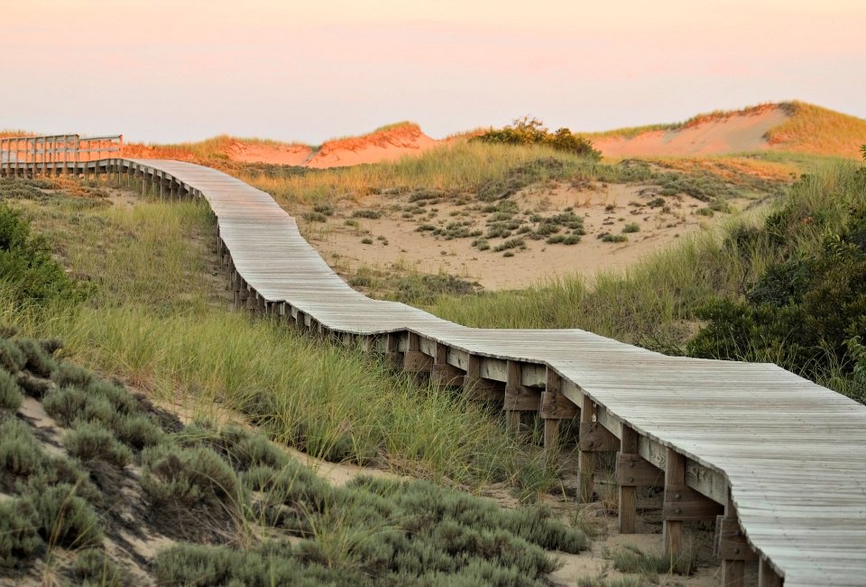 Take a walk  along the pretty Plum Island boardwalk. Photo by Christene S. /Flickr