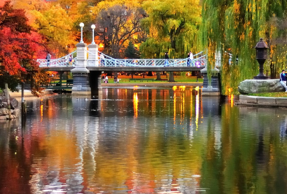 An autumn sunset is lovely in the Public Garden. Photo courtesy of Michael Krigsman via Flickr