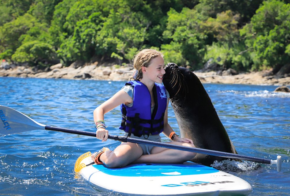 Paddleboarding is even more fun when you do it with a sea lion. Photo courtesy Vallarta Adventures