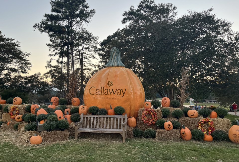 Pumpkins at Callaway Mommy Poppins Things To Do in Atlanta with Kids