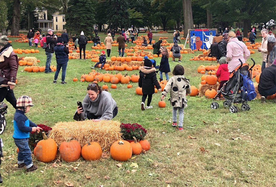 Governors Island’s annual pumpkin patch, Pumpkin Point, returns with thousands of pumpkins and fall-themed decorations arranged across the island’s historic Nolan Park. Photo by Janet Bloom