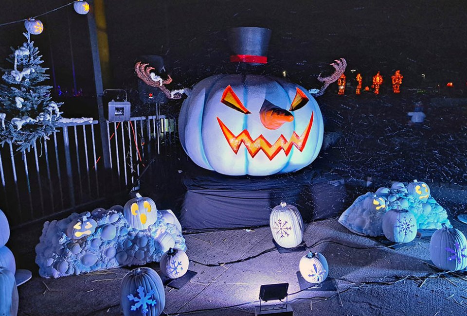 Pumpkin World: Christmas pumpkins