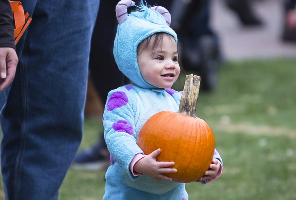 Toddlers will love Pumpkin Party. Photo courtesy of Gallagher Way