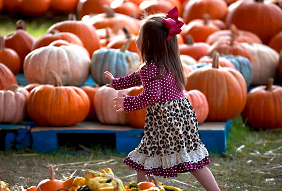 Find the best pumpkin patches near Atlanta with our guide to the best things to do this fall near Atlanta with kids.