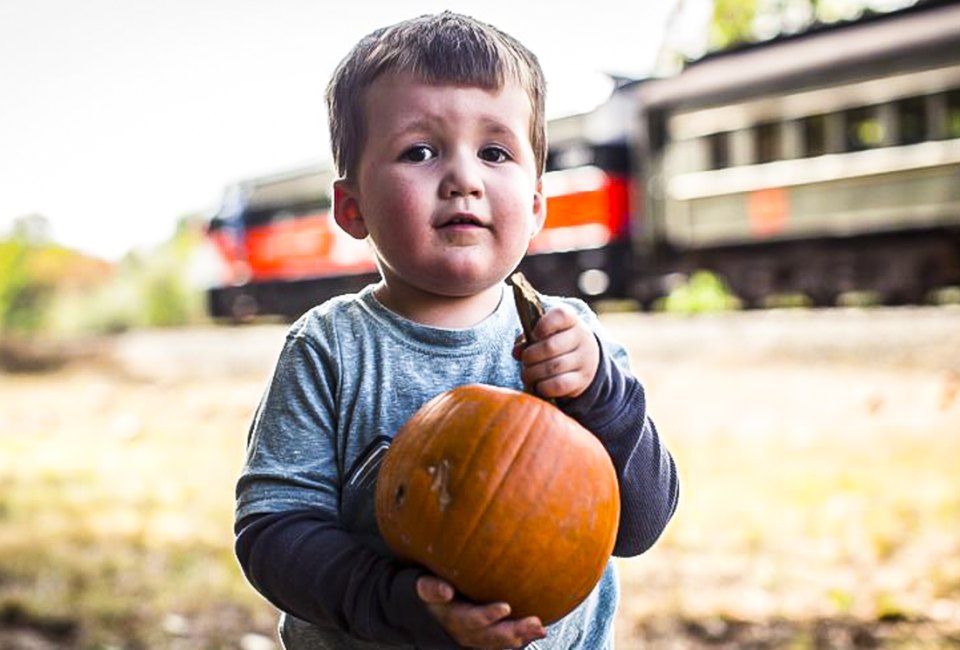 Get on board for fall fun this fall holiday weekend in Connecticut! Pumpkin patch photo courtesy of the New England Railroad