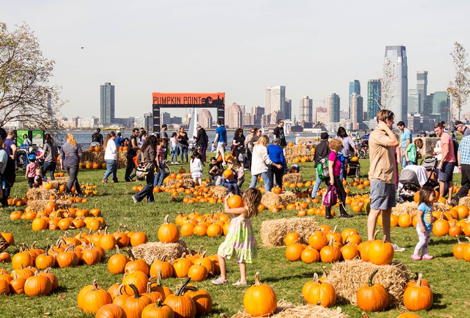 One of NYC's only pumpkin patches (with a great view) returns to Governors Island.