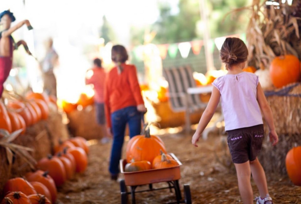 The annual PumpkinFest at Cornelius Nursery offers families a day of fun, free, fall-inspired activities. Photo courtesy of Cornelius Garden Center & Nursery.