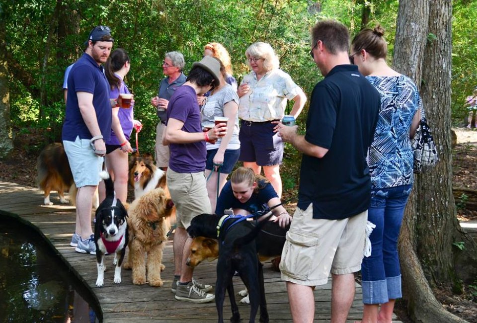 Leash up your pups and bring out your families for an afternoon of craft beer and four-legged friends. Photo courtesy of Saint Arnold's Brewing Co.