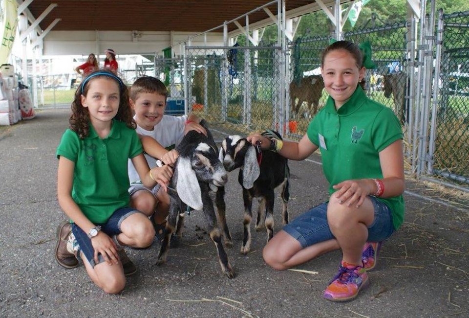 Meet some friendly animals at the Putnam County Fair in Carmel. Photo courtesy of the fair