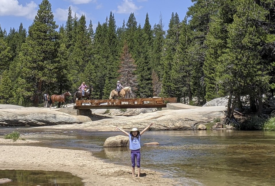 Welcome to the Wild West, in the Eastern Sierras! Photo by author