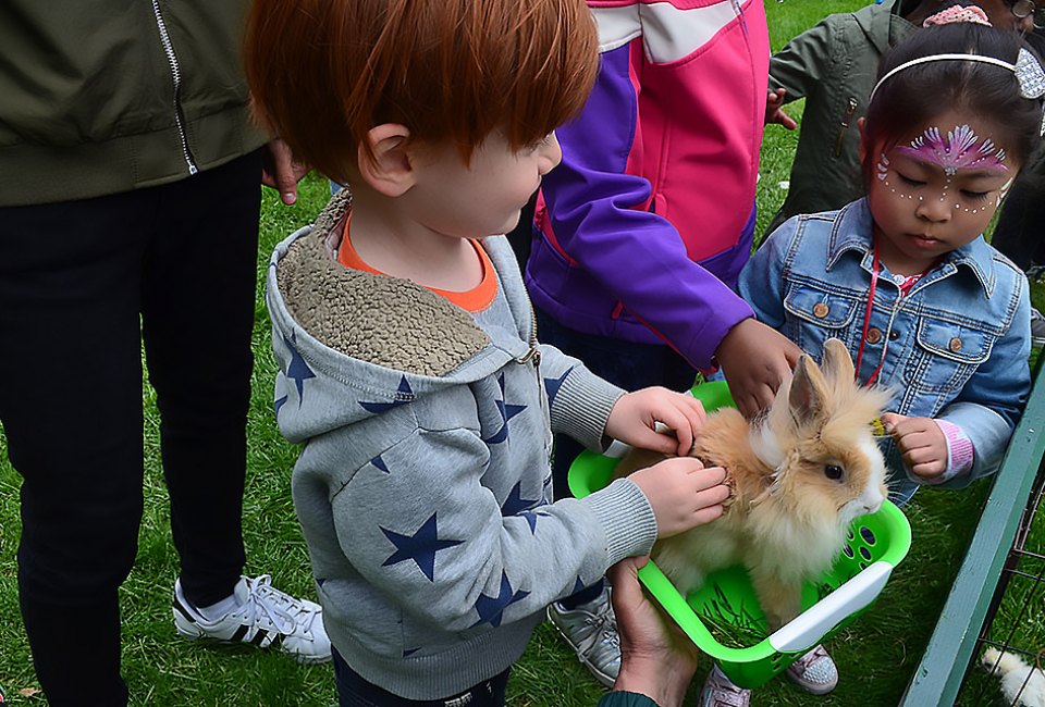 The Queens Botanic Garden’s Arbor Fest is a fun-filled celebration of trees and the environment. Photo courtesy of the garden