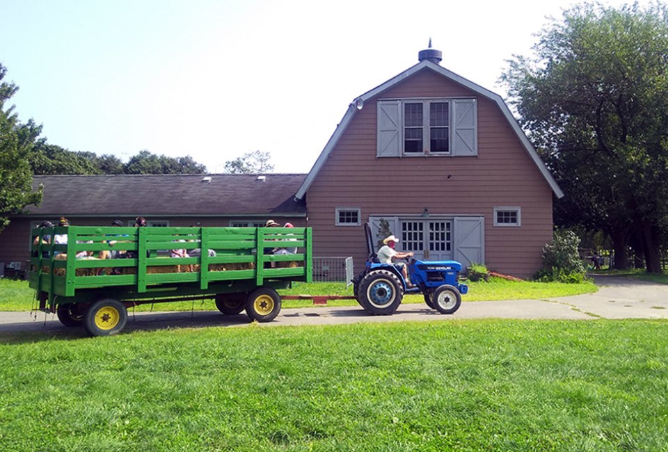 Fall bucket list Queens County Farm Museum