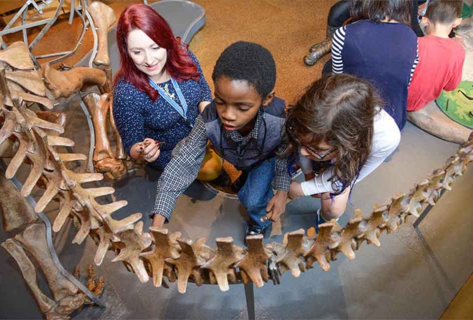 The Discovery Squad at AMNH is a unique tour program designed for families affected by autism spectrum disorders. Photo by R. Mickens for AMNH