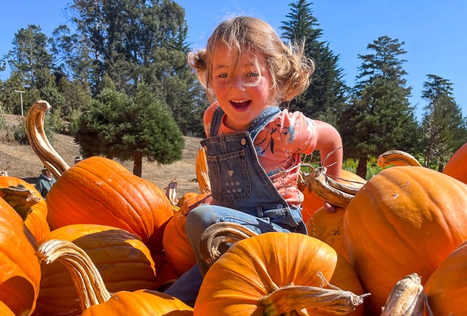 Fall into pumpkin season! Photo courtesy of Rancho Siempre Verde Christmas Tree and Pumpkin Farm