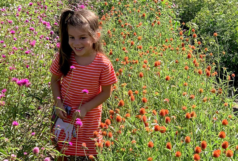 Bring the family to pick buckets of flowers at Brittany Hollow Farms. Photo courtesy of the farm  