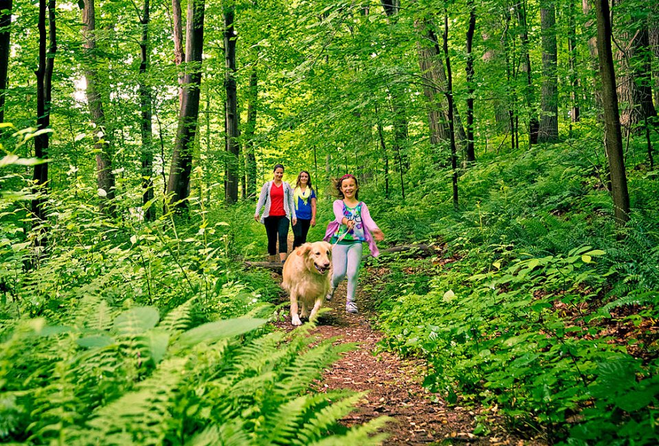Take a hike at Ridley Creek. Photo courtesy of Visit Philadelphia