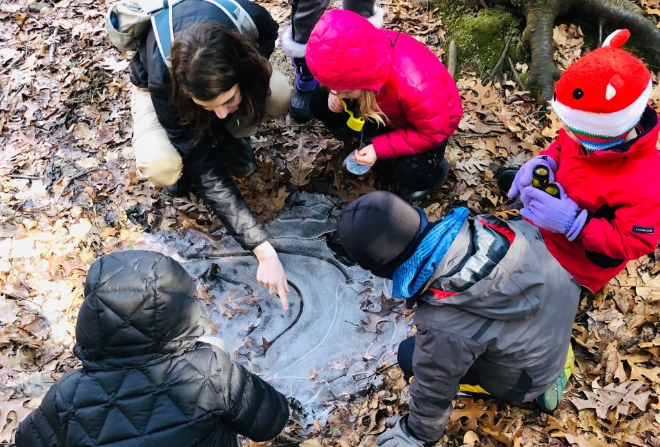 Nature exploration at Roaring Brook Nature Center