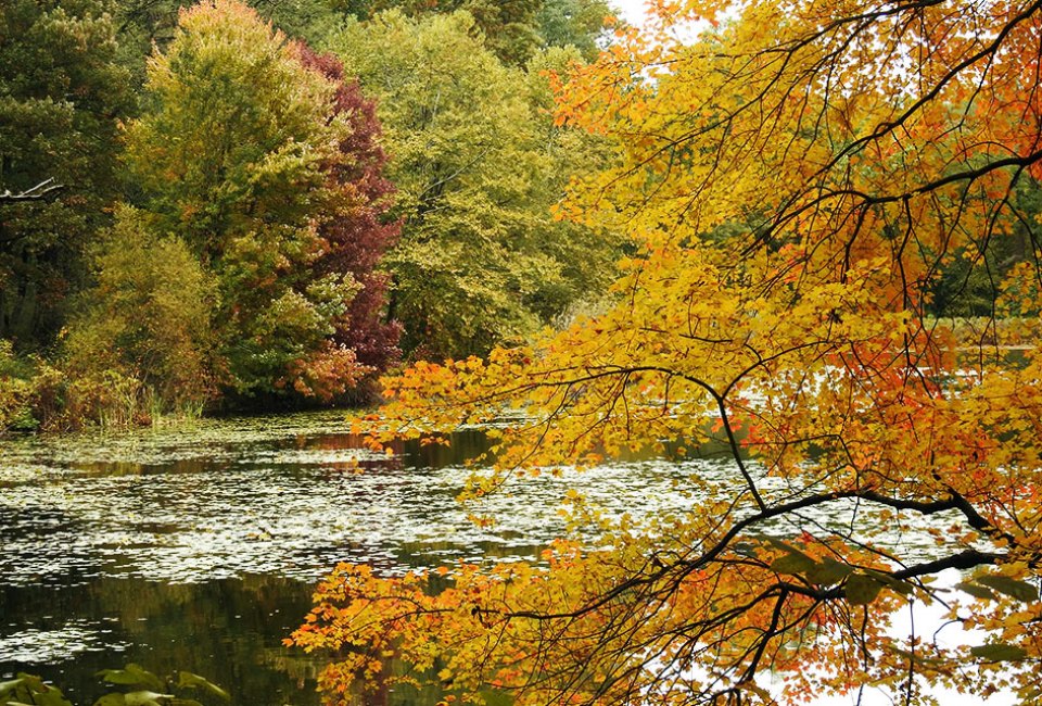 Rockefeller State Park Preserve offers a rainbow of fall foliage to take in during the autumn.