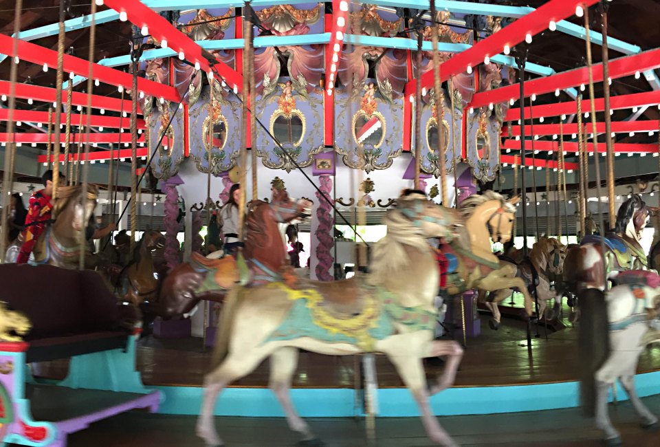  Forest Park Carousel Amusement Village is open for the season. 