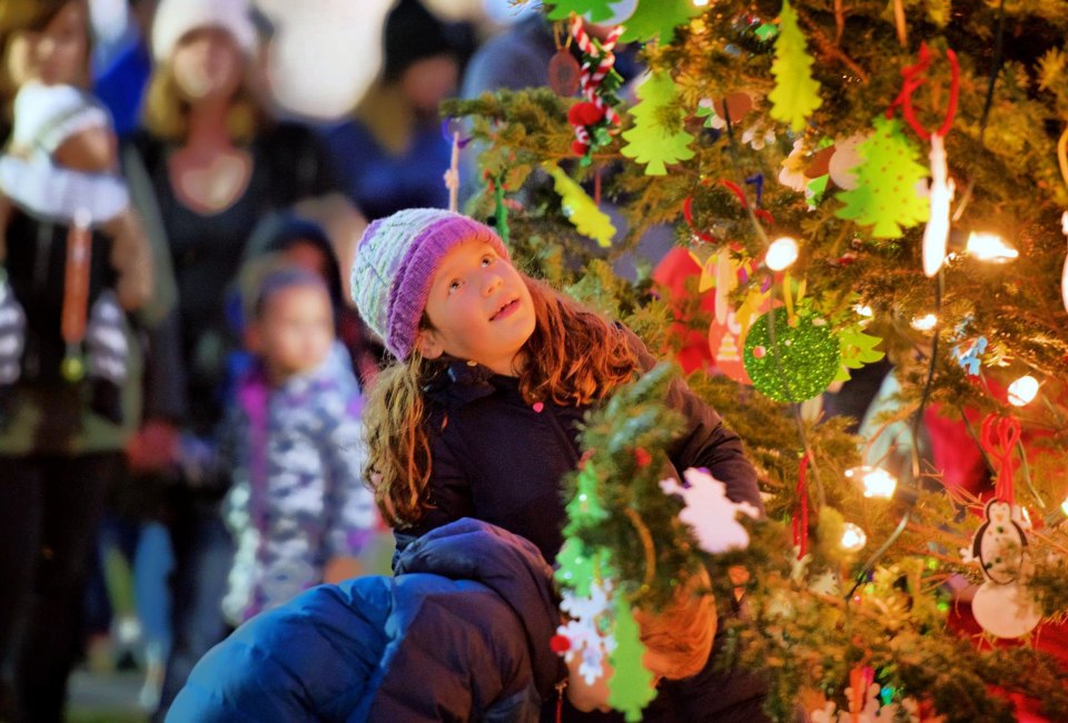 The Roslindale town tree is set aglow on Saturday. Photo courtesy of Roslindale Village Main Street