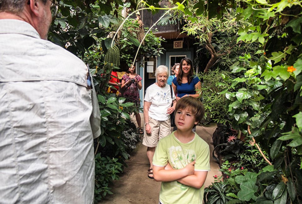 Image of tour at Magic Wings Butterfly Conservatory.