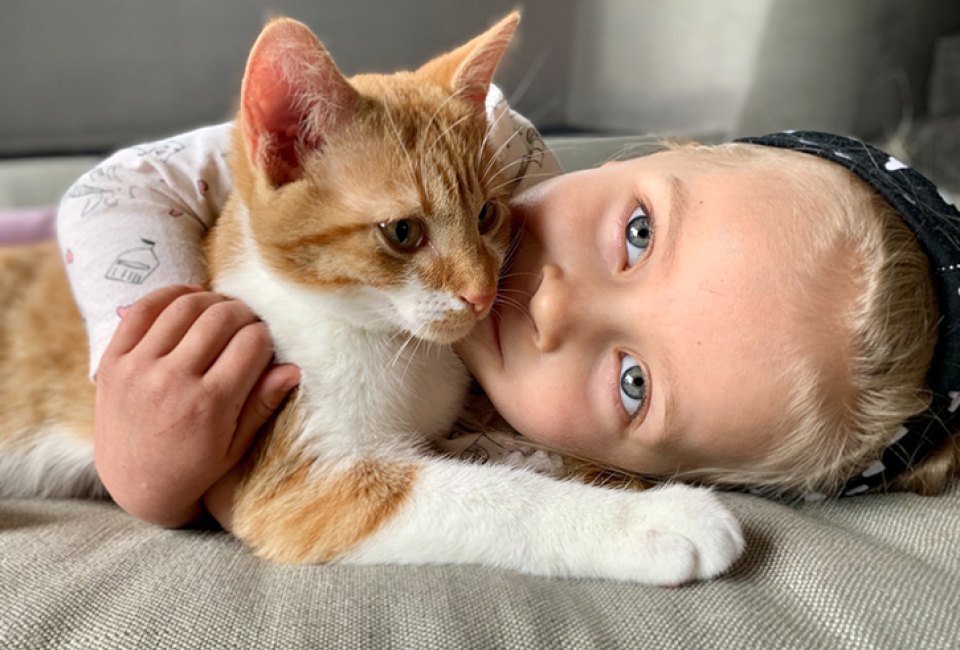 Little girl cuddles a kitten for International Cat Day! 