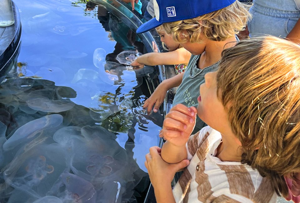 Things to do with kids in Long Beach: Aquarium of the Pacific