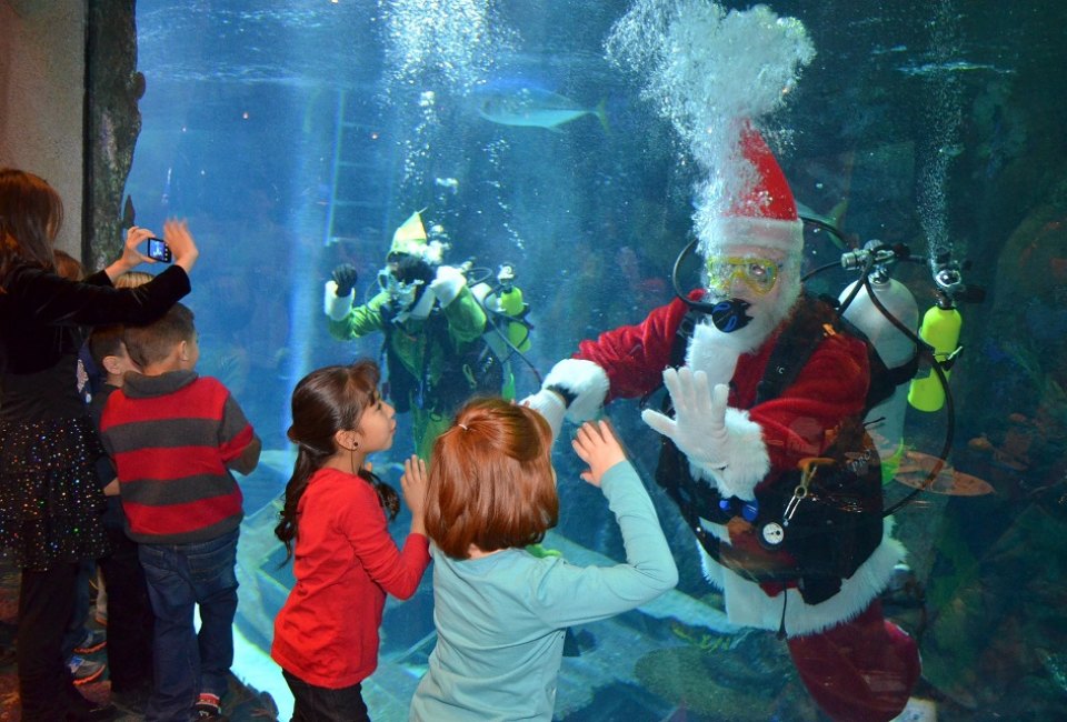 Dive into breakfast with Santa, then watch him take a dive with the fish! Photo courtesy of Downtown Aquarium. 