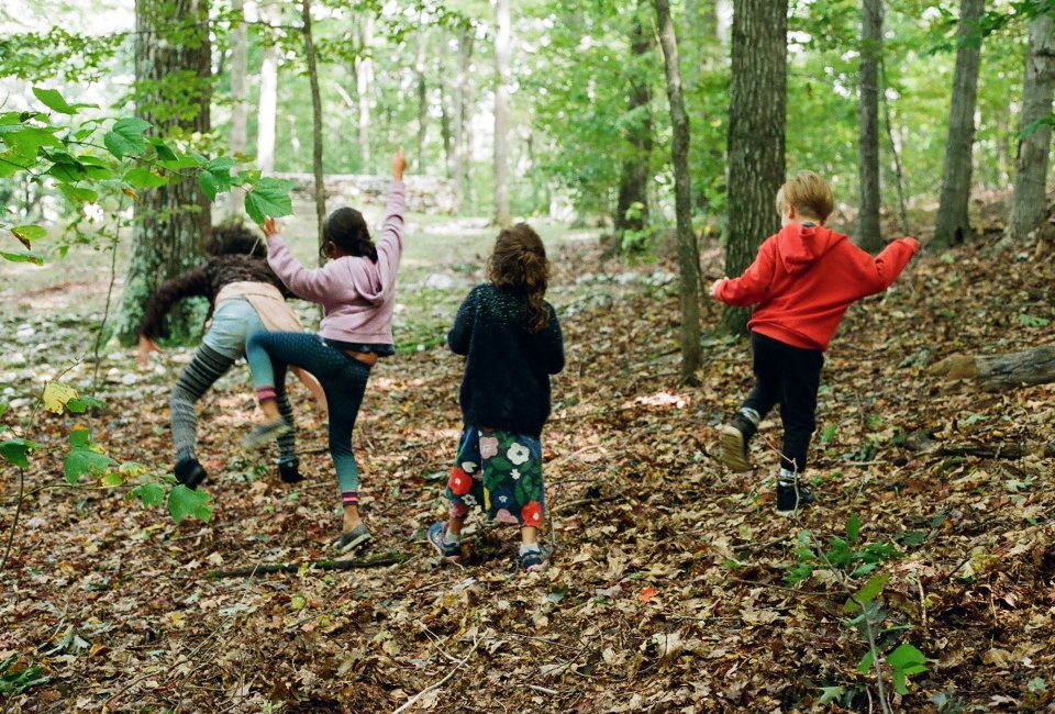 School of Wonder