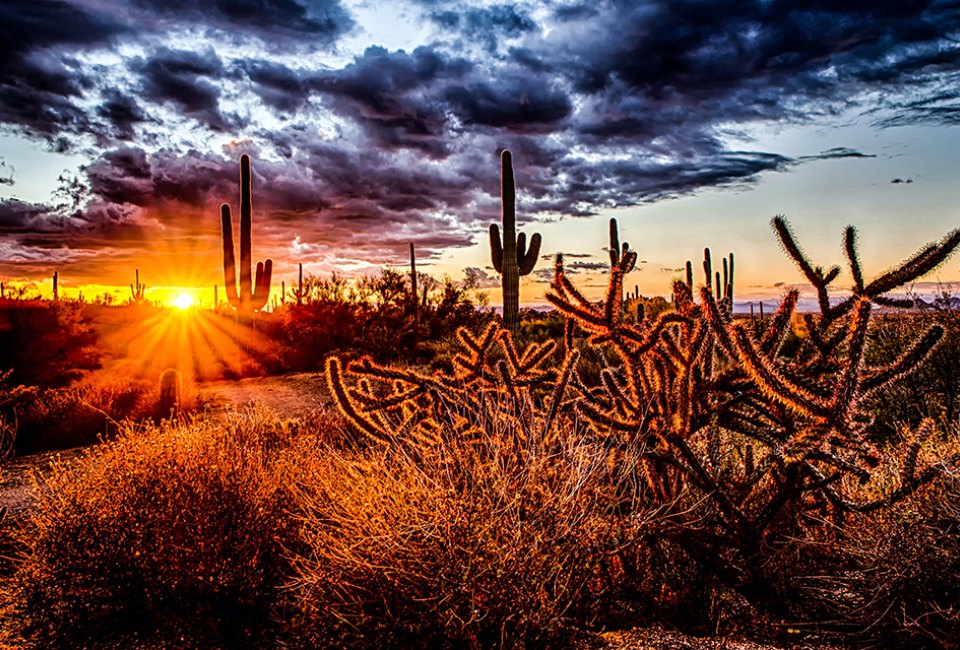 Enjoy the stunning beauty of Scottsdale, Arizona. Photo by Robert Murray via Unsplash