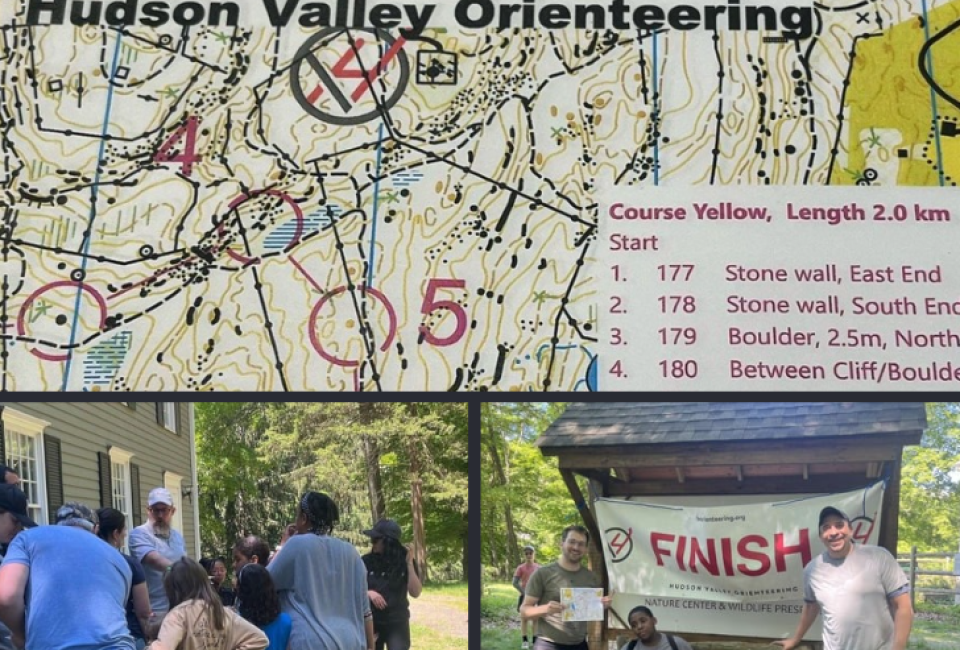 Raid the Sanctuary! Spring Orienteering Meet at Westmoreland Sanctuary ...