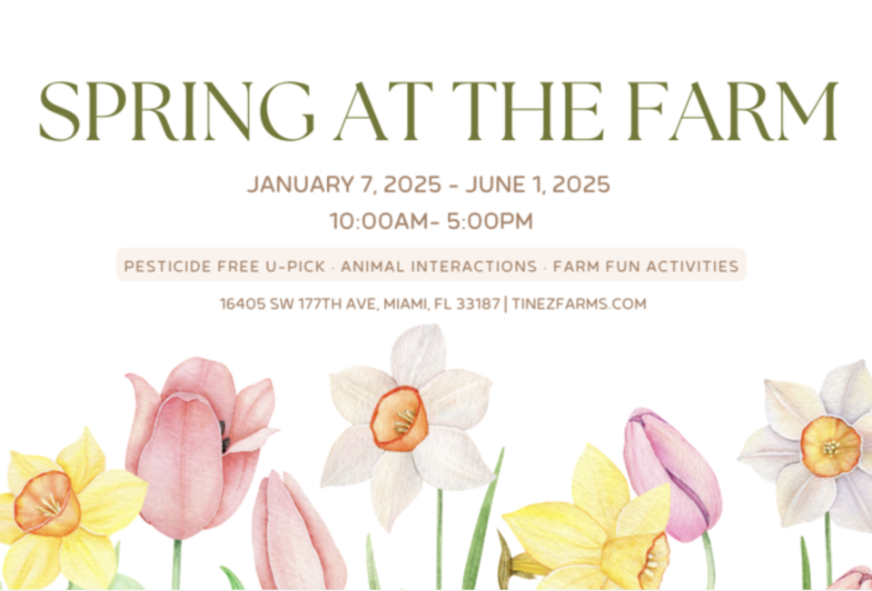 Spring at Tinez Farms