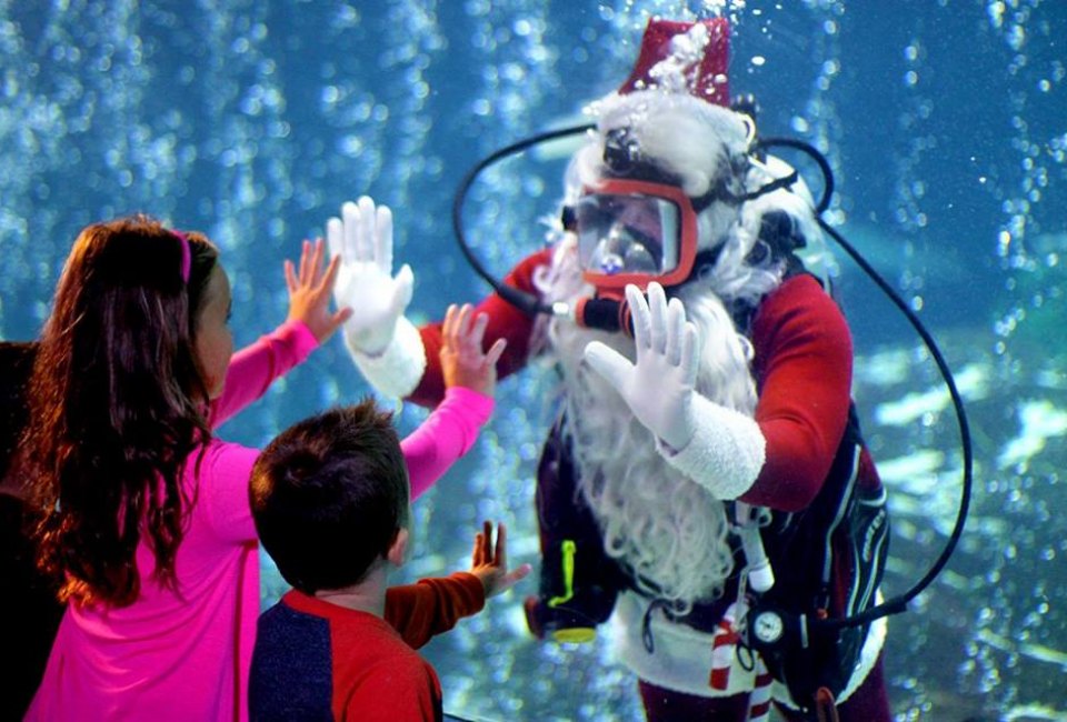 Scuba Santa returns to Adventure Aquarium!