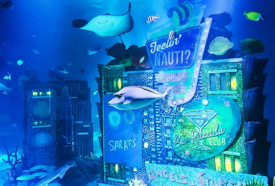 Tropical fish, rays, sharks and more are on view at Sea Life Aquarium.