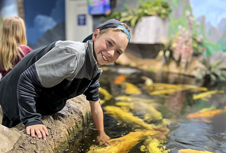 Fun Things To Do in Sacramento, California: Sea Quest