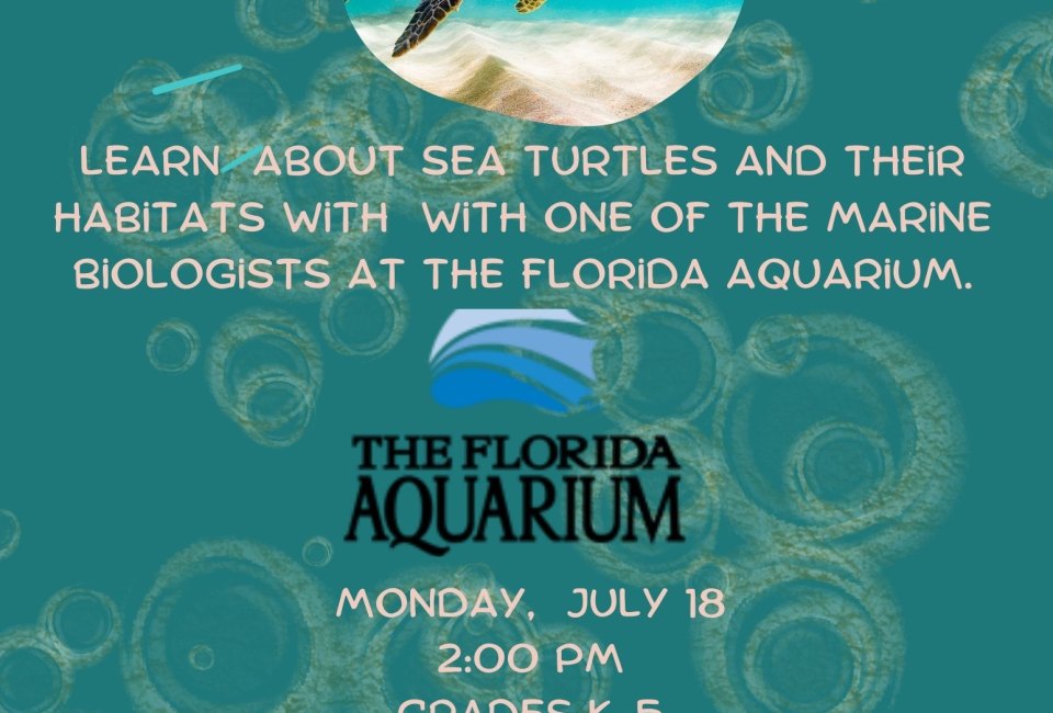 The Florida Aquarium Presents: Sea Turtles