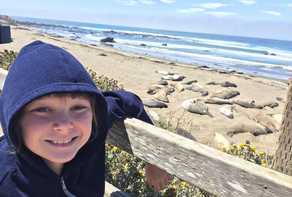 Elephant Seal Vista Point in San Simeon. Photo by Meghan Rose