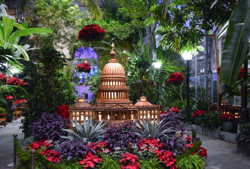 Seasons Greenings at the US Botanic Garden is a DC holiday tradition. Photo courtesy of the US Botanic Garden