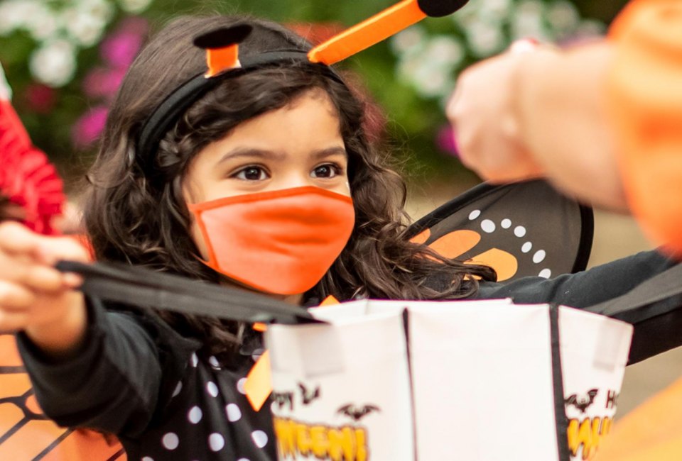 Enjoy the Count's Halloween Spooktacular at Sesame Place. Photo courtesy of Sesame Place