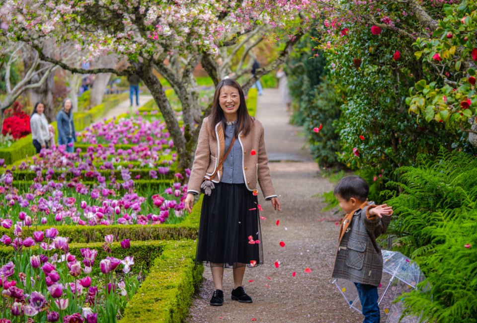 Let mom stop and smell the roses on Mother's Day. Photo by Albert Dros, courtesy of Filoli.