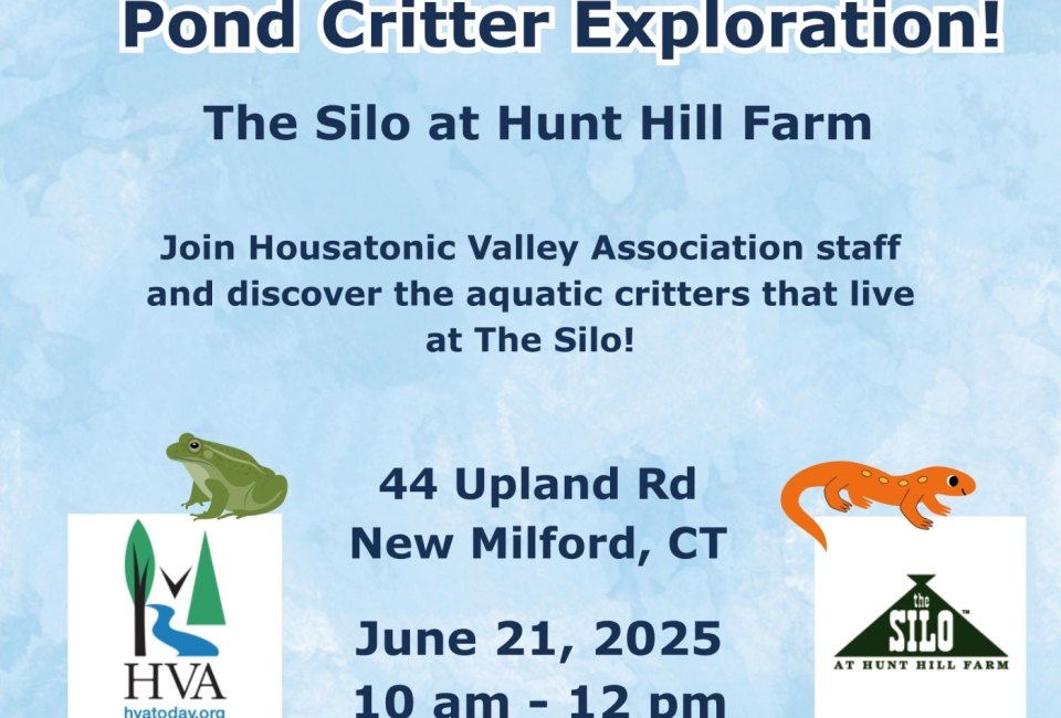 Pond Critter Exploration at Hunt Hill Farm