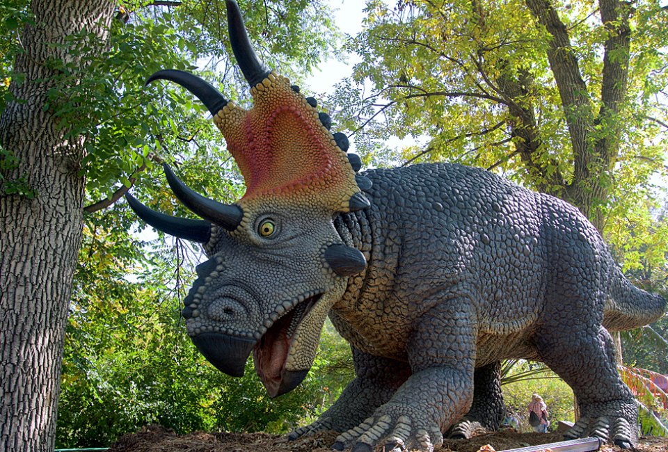 Get up close to larger-than-life dinosaurs at Six Flags Xpedition Dino. 