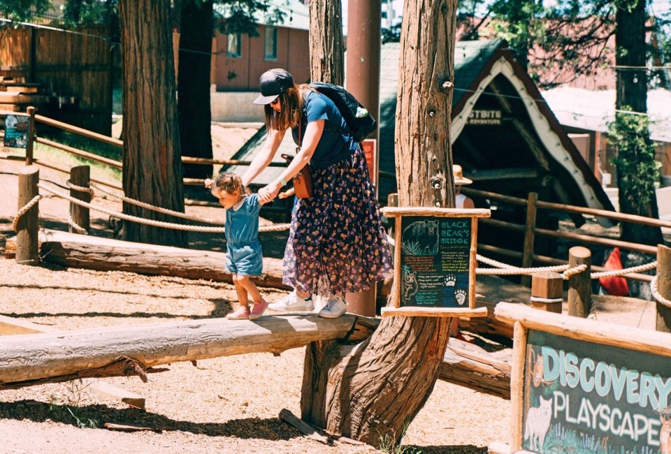 Balance on Black Bear's Bridge at SkyPark. Photo courtesy of SkyPark at Santa’s Village