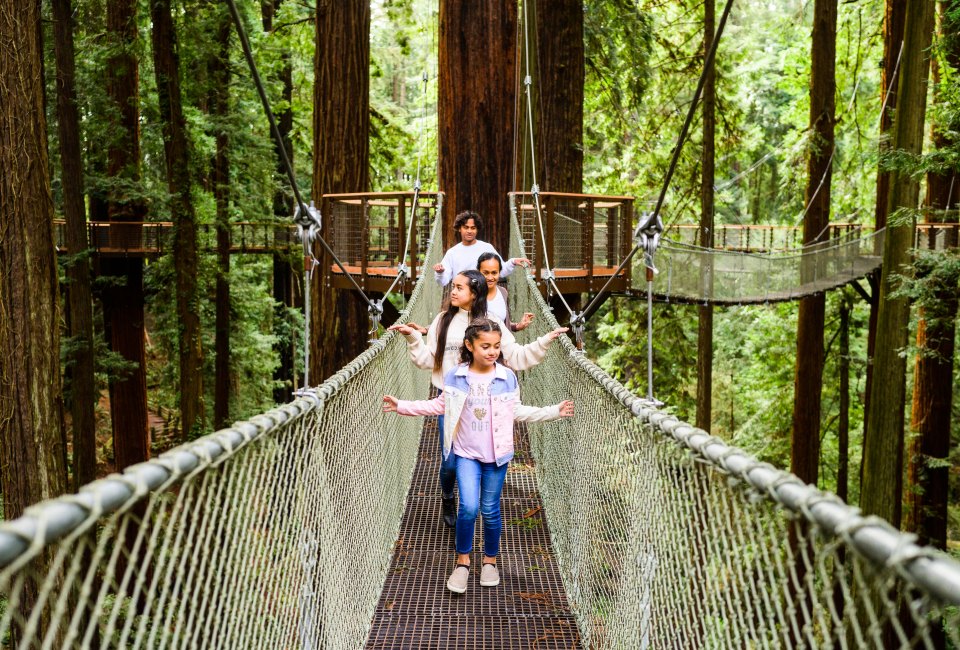 Photo courtesy of Redwood SkyWalk