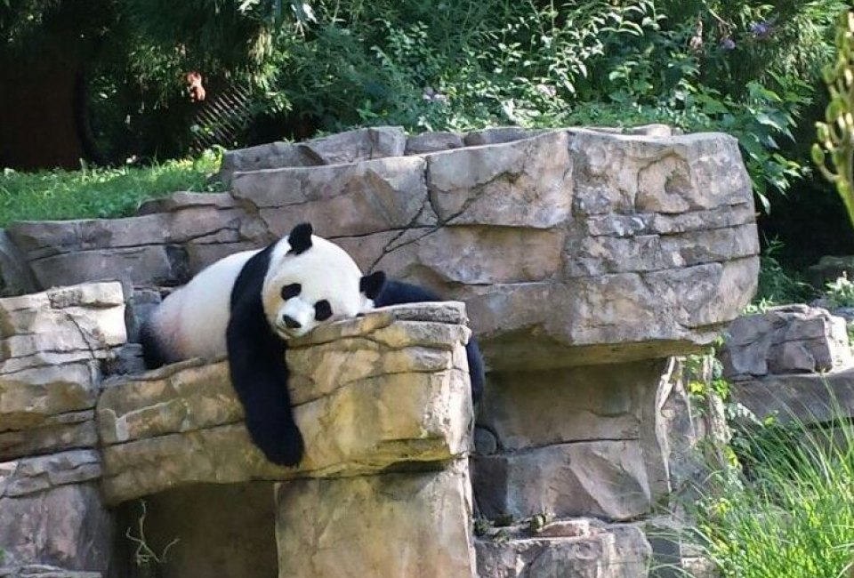Smithsonian's National Zoo