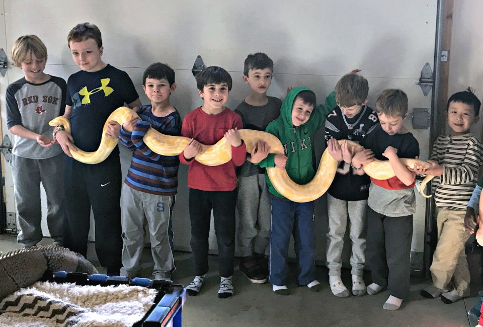 Let the New England Reptile Show prove snakes can make fun party animals! Photo by author