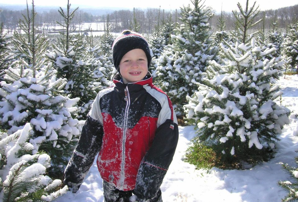 Find the perfect tree for your family at Snickers Gap Tree Farm. Photo courtesy of the farm