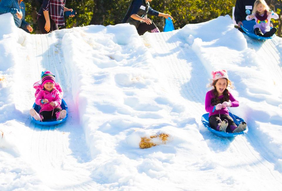 There's always snow at the Snow Leopard Festival. Photo courtesy of the Santa Barbara Zoo