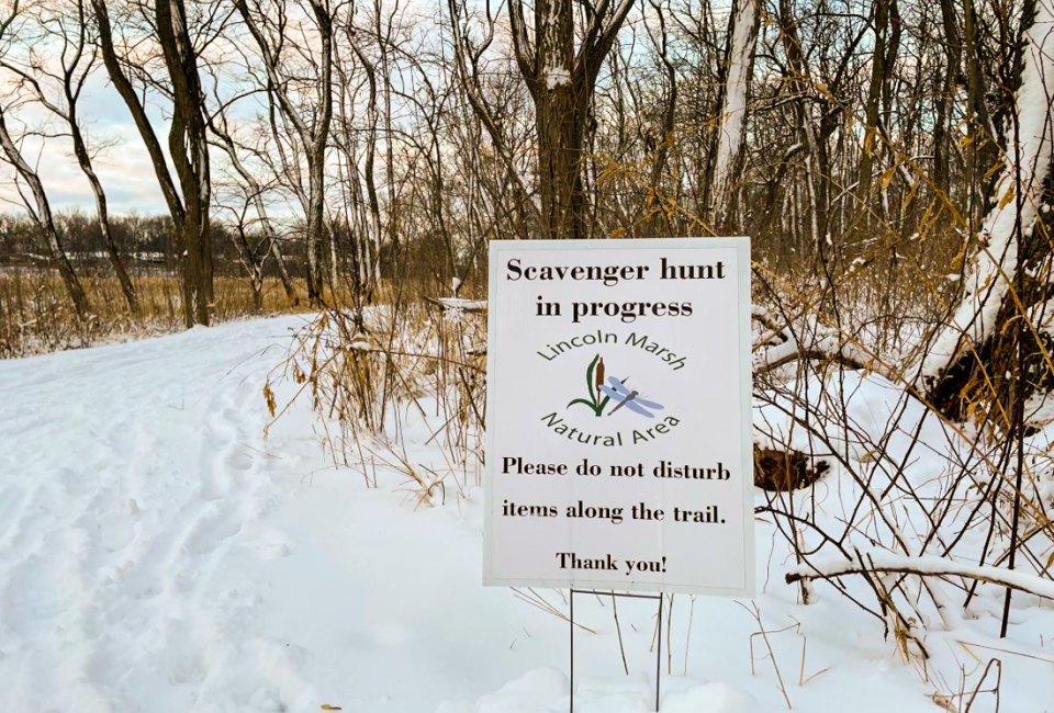 Snowflake Scavenger Hunt  photo courtesy of Discover Dupage