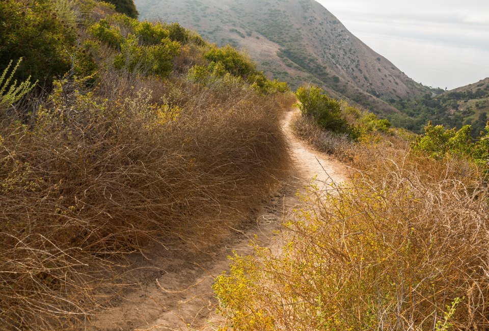 Things To Do With LA Kids Over Spring Break: Take a Hike in LA!